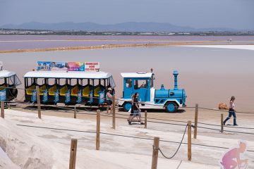 Tren turístico
