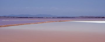 Nueva Webcam Salinas de Torrevieja y Laguna Rosa en vivo! 
