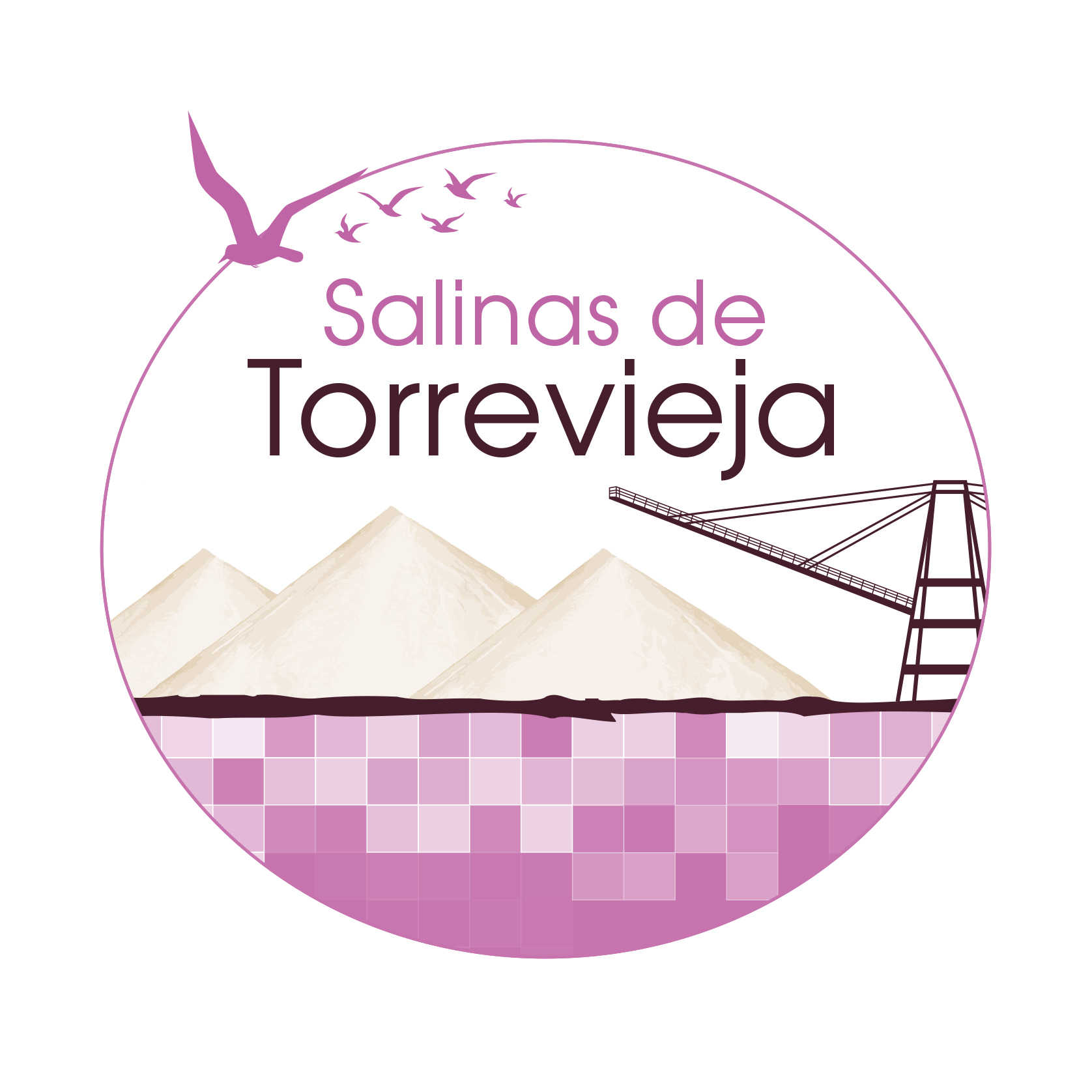 Logo Salinas de Torrevieja